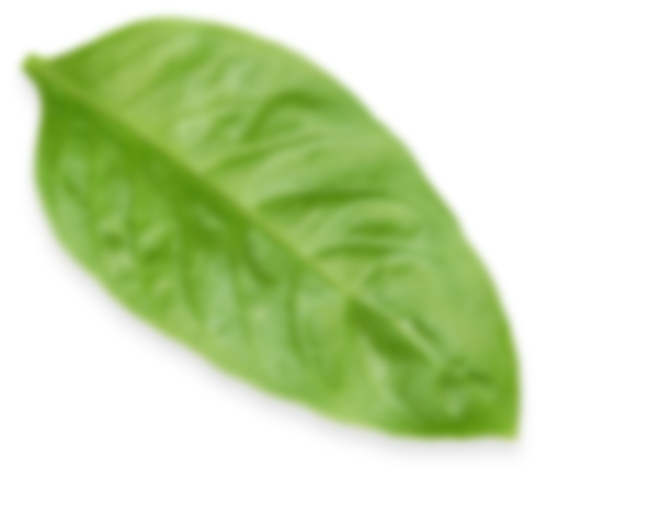 1-2.png