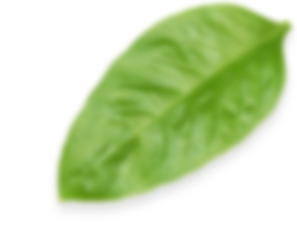 3-1.png