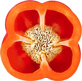 FRUIT-AND-VEGETABLES_HOME-Slider-19.png