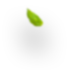h3_leaf-1.png