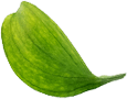 img4-11.png