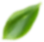 img4-13.png